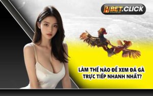 Làm thế nào để xem đá gà trực tiếp nhanh nhất?