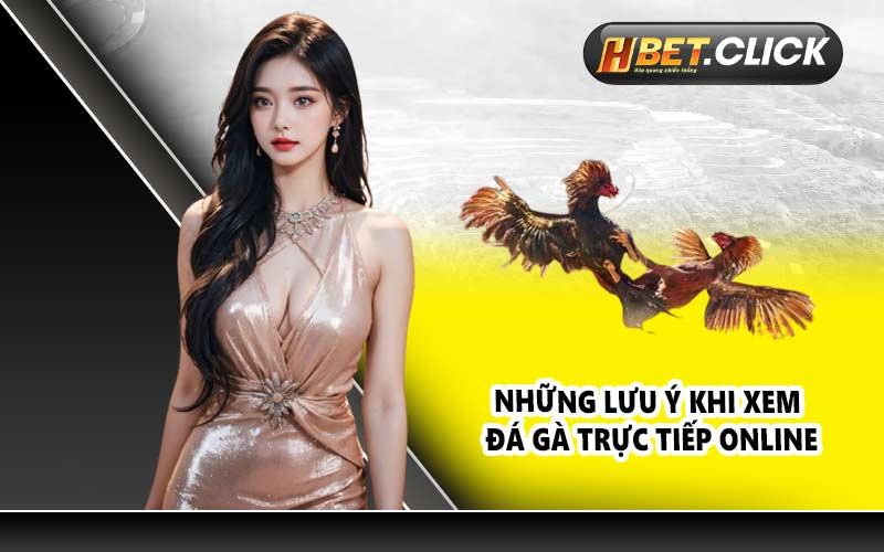 Những lưu ý khi xem đá gà trực tiếp Online